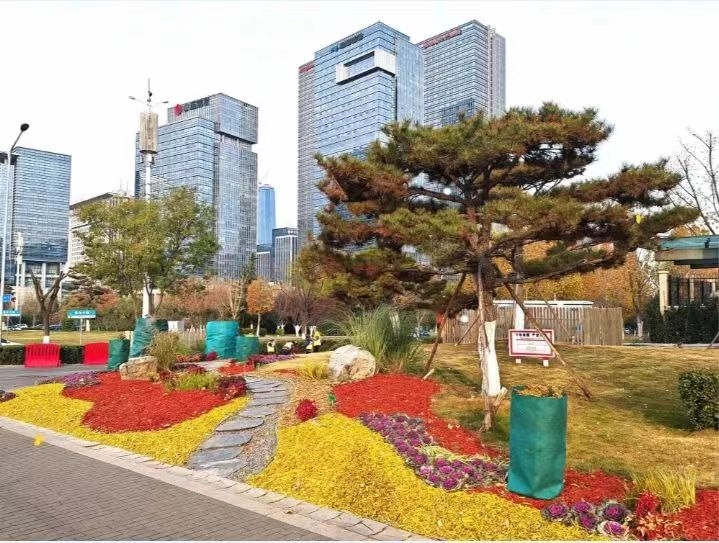 濟(jì)南市園林和林業(yè)綠化局 圖聞 冬日里的五彩畫卷:園林綠化廢棄物變身景觀新寵